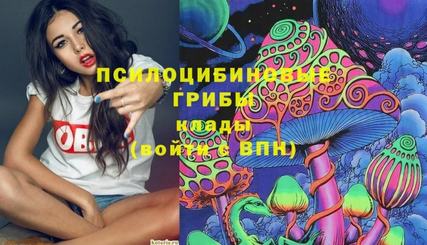 мяу мяу мука Алексеевка