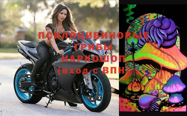 мяу мяу мука Алексеевка